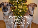 just ask! GmbH Merry-Christmas-2014-150x109 Merry Christmas! Allgemein